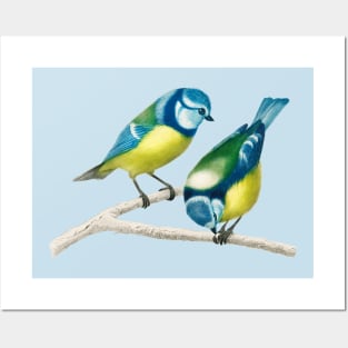 Vintage Eurasian blue tit bird-animalia clothing Posters and Art